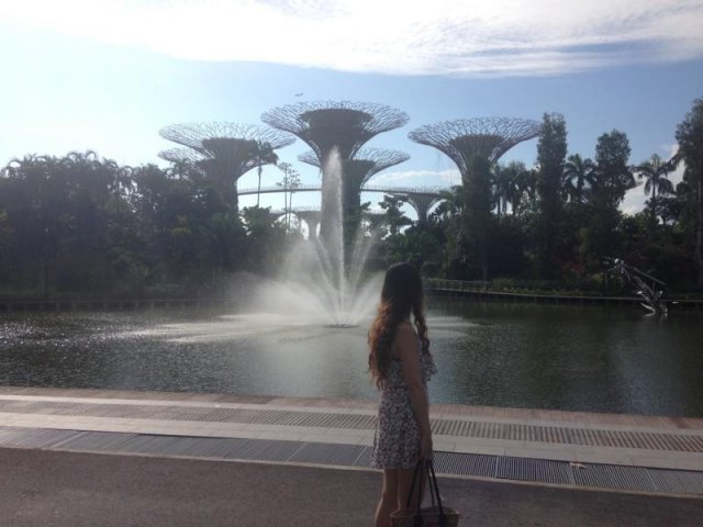 2015 Singapur